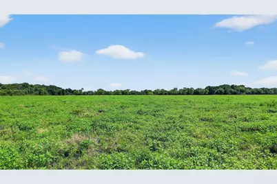 Tbd Hogtown Road, Collinsville, TX 76233 - Photo 4