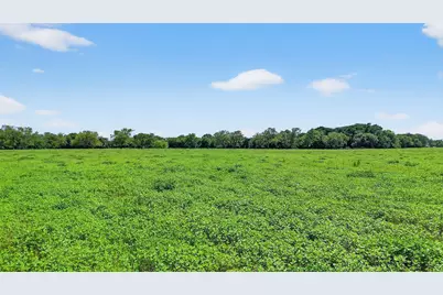 Tbd Hogtown Road, Collinsville, TX 76233 - Photo 8