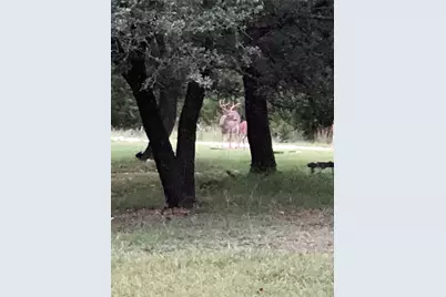 Tbd Cr 1524, Morgan, TX 76671 - Photo 12