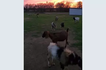 131 Hcr 1417, Covington, TX 76636 - Photo 6