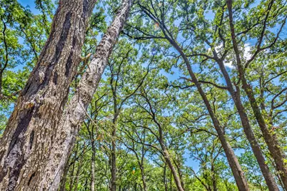 9785 Sunrise Boulevard, Quinlan, TX 75474 - Photo 22