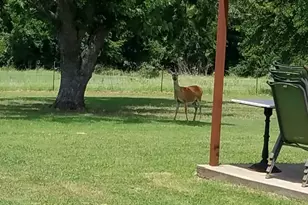 2400 Springfield Rd, Springtown, TX 76082 - Photo 30