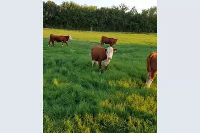 2400 Springfield Road, Springtown, TX 76082 - Photo 28