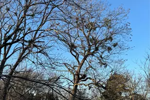 208 John Fielder Dr, Southmayd, TX 75092 - Photo 1