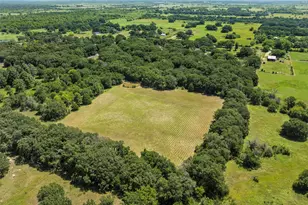 16636 Co Rd 4060, Scurry, TX 75143 - Photo 32