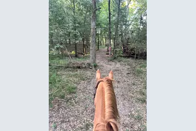 0000 County Road 3226, Lone Oak, TX 75453 - Photo 10