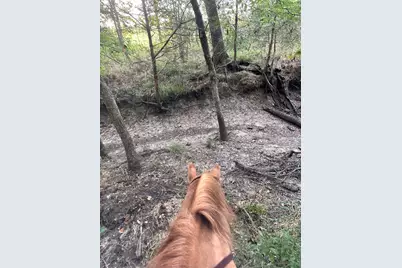 Tbd County Road 3226, Lone Oak, TX 75453 - Photo 6