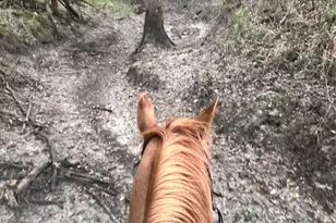 Tbd County Road 3226, Lone Oak, TX 75453 - Photo 1