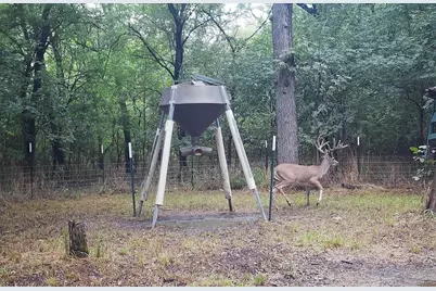 2340 Wright Road, Sherman, TX 75092 - Photo 38