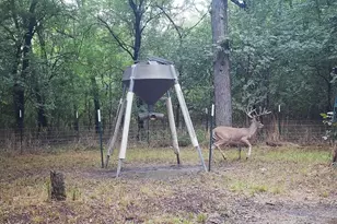 2340 Wright Rd, Sherman, TX 75092 - Photo 38