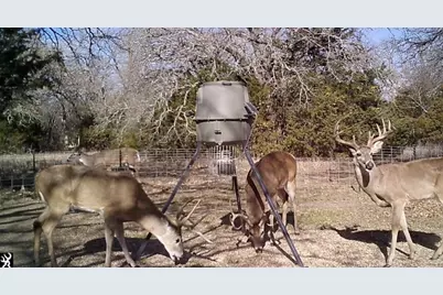 9213 Scenic Drive, Pilot Point, TX 76258 - Photo 38