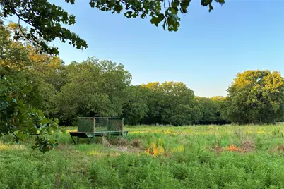 9213 Scenic Drive, Pilot Point, TX 76258 - Photo 28