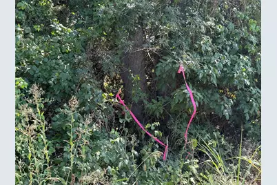 Tract 2 County Road 5045, Leonard, TX 75452 - Photo 4