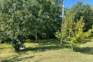 2393 Co Rd 4108, Greenville, TX 75401 - Photo 8