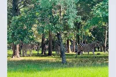 8301 Trophy Pointe, LaRue, TX 75770 - Photo 14