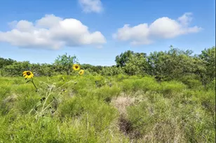 2300 Jessica Dr, Mansfield, TX 76063 - Photo 34