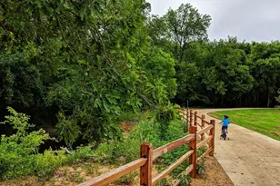 329 Bay Laurel Rd, McKinney, TX 75071 - Photo 34