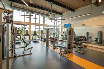 329 Bay Laurel Road, McKinney, TX 75071 - Photo 38