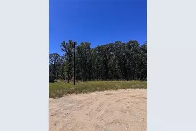 Lot 19 Saddle Creek Ct., Alba, TX 75410 - Photo 12