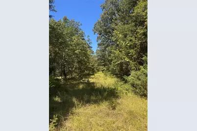 Lot 19 Saddle Creek Ct., Alba, TX 75410 - Photo 10