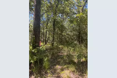 Lot 19 Saddle Creek Ct., Alba, TX 75410 - Photo 10