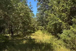 Lot 19 Saddle Creek Ct, Alba, TX 75410 - Photo 1
