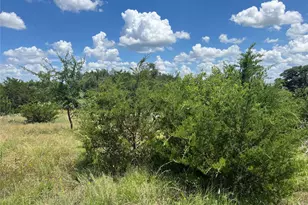 3365 Crook Ct, Granbury, TX 76049 - Photo 28