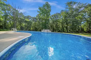 1054 Co Rd 4116, Quitman, TX 75783 - Photo 14