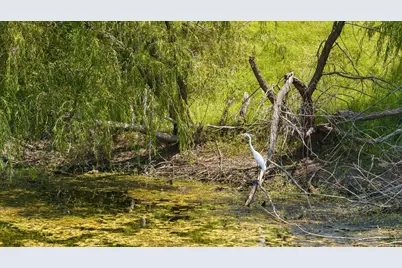 1005 Sanctuary Drive, Tolar, TX 76476 - Photo 8