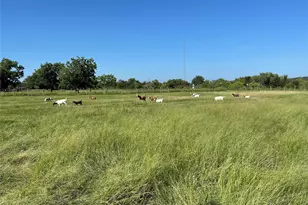 87 Ledbetter Rd, Mineral Wells, TX 76067 - Photo 6