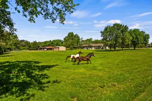 751 NW County Road 1010, Mount Vernon, TX 75457 - Photo 34