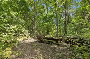 5314 Co Rd 465, McKinney, TX 75071 - Photo 36