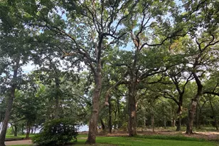 9033 Safari Shores Drive, LaRue, TX 75770 - Photo 34