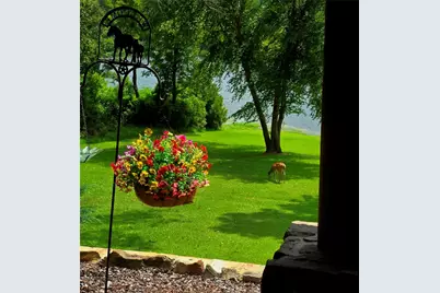 9033 Safari Shores Drive, LaRue, TX 75770 - Photo 16