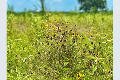 Tbd Tract 24 County Rd 3644, Pickton, TX 75471 - Photo 4