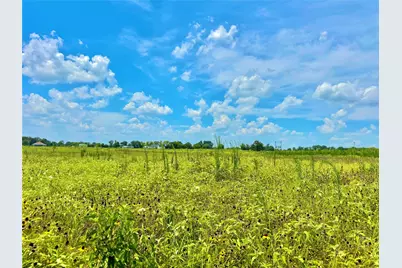 Tbd Tract 24 County Rd 3644, Pickton, TX 75471 - Photo 6