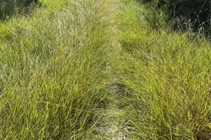 1156 Ridge Dr S, Cleburne, TX 76033 - Photo 1