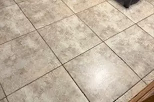 11008 Pepperidge Cir, Dallas, TX 75228 - Photo 12