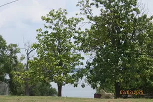 10689 Co Rd 905, Princeton, TX 75407 - Photo 24