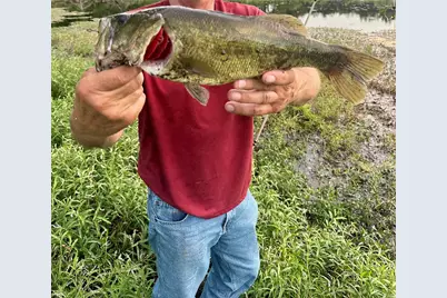 607 Faulkenberry Road, Groesbeck, TX 76642 - Photo 6