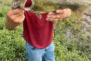 607 Faulkenberry Rd, Groesbeck, TX 76642 - Photo 6