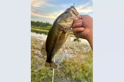 607 Faulkenberry Road, Groesbeck, TX 76642 - Photo 4