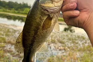 607 Faulkenberry Rd, Groesbeck, TX 76642 - Photo 4