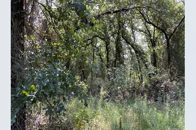 Tbd Hcr-1212, Whitney, TX 76692 - Photo 12