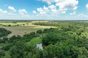 Tbd Fm 413, Kosse, TX 76653 - Photo 16