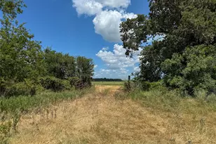 Tbd Fm 413, Kosse, TX 76653 - Photo 18
