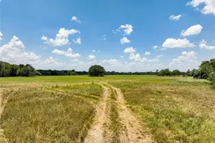 Tbd Fm 413, Kosse, TX 76653 - Photo 4