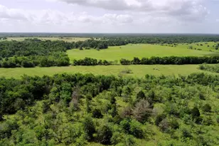 Tbd Lcr 663, Kosse, TX 76653 - Photo 8