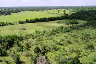 Tbd Lcr 663, Kosse, TX 76653 - Photo 6