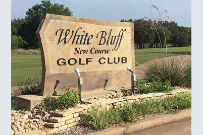 32030 Dove Trail, Whitney, TX 76692 - Photo 1